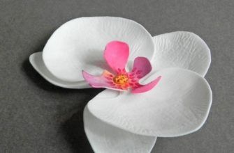 Орхидея из бумаги: пошаговая инструкция схемы и рекомендации как сделать бумажный цветок просто и быстро